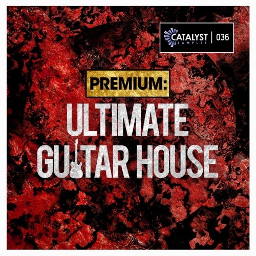 Catalyst Premium Ultimate Guitar House