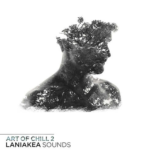 Laniakea Sounds Art Of Chill 2