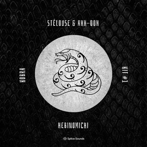 Splice Sounds SteLouse & Ahh Ooh - Hebinomichi Kobra Kit WAV