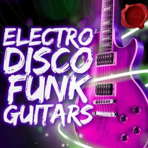 Fox Samples Electro Disco Funk Guitars