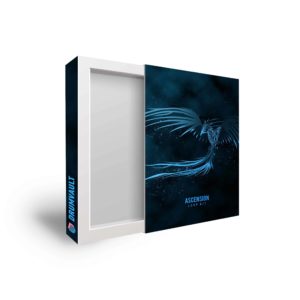 DrumVault Ascension Loop Kit