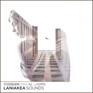 Laniakea Sounds Modern Vocal Loops