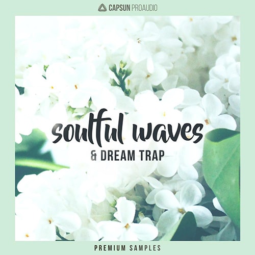 CAPSUN ProAudio Soulful Waves and Dream Trap WAV