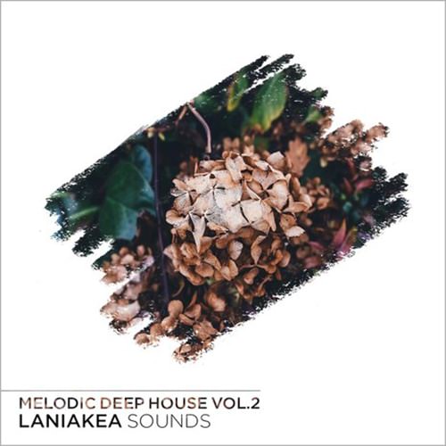 Laniakea Sounds Melodic Deep House Vol.2 Sample Pack