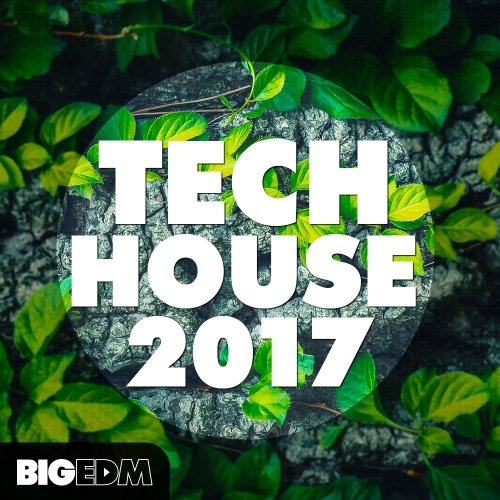 Big EDM Tech House 2017 WAV MiDi Synth Presets