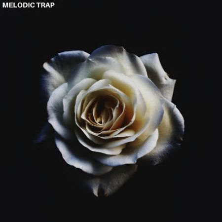 Triad Sounds Modern Samples - Melodic Trap WAV