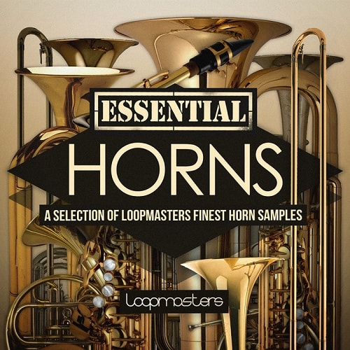 Essentials 42 Horns WAV