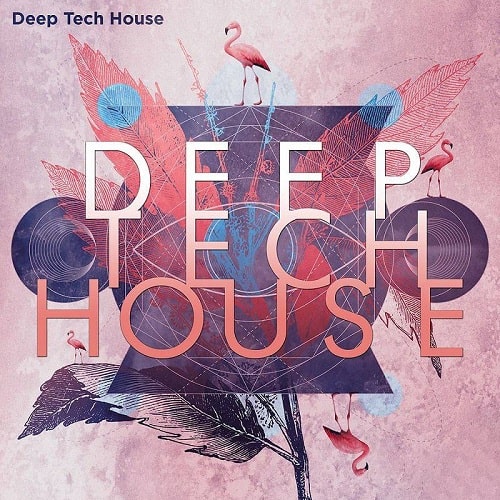 Deep Tech House MULTIFORMAT