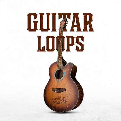Cartel Loops Guitar Loops WAV