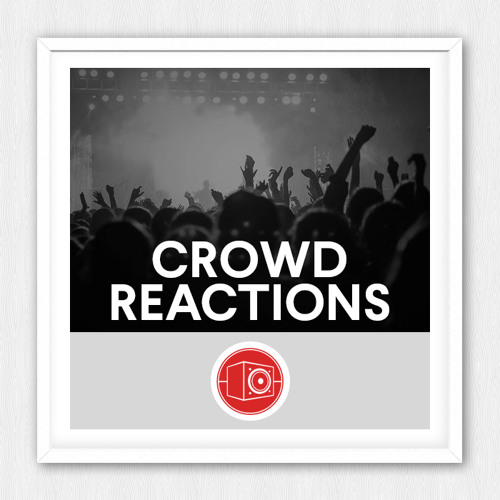 Big Room Sound Crowd Reactions WAV