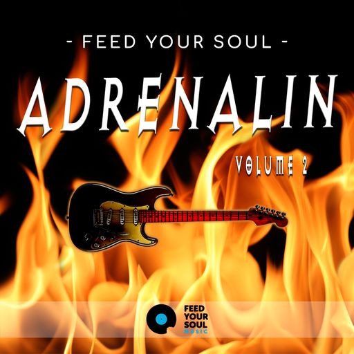 Feed Your Soul Music Feed Your Soul Adrenalin Volume 2 WAV