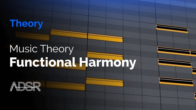 ADSR Sounds Music Theory & Functional Harmony TUTORIAL