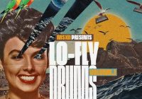 MSXII Sound Design Lo-Fly Drums Vol.1-3 WAV