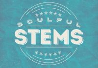 MSXII Sound Design Soulful Stems 1-3 WAV