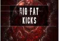 BFractal Music Big Fat Kicks WAV