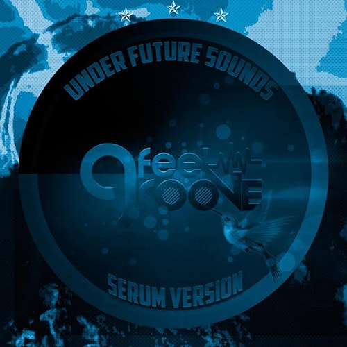 Under Future Sounds Feel Groove Serum Presets FXP