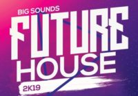 Big Sounds Future House 2K19 WAV MIDI PRESETS