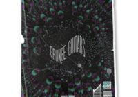 ProducerGrind The Grunge Guitars WAV + MIDI Loop Pack