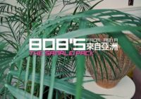 DELAY 808's from Asia The Sample Pack WAV