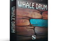 Soundiron Whale Drum v2.0 KONTAKT