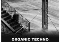 Audioteknik Organic Techno WAV