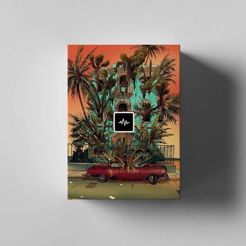 WavSupply Repko Dragonfruit Drum Kit WAV