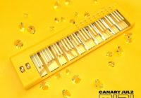 Canary Julz MIDI Collection (Volume 1) MiDi FST SPECTRASONICS OMNISPHERE 2