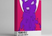 Young Kelz Drip Season 2 (MIDI Kit)