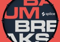 Splice Originals Baum Breaks WAV