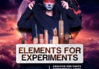 Elements For Experiments WAV