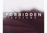 Zenhiser Presents Forbidden Rhythms WAV MIDI