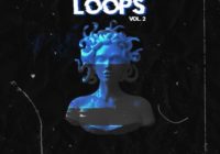 TheDrumBank Medusa Loops Vol.2 WAV