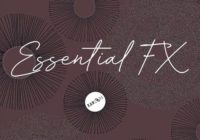 Raw Loops Essential FX WAV