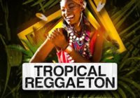 Tropical Reggaeton Sampe Pack WAV