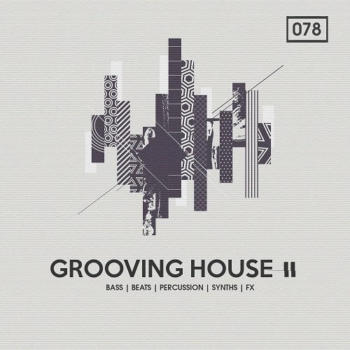 Bingoshakerz Grooving House 2 WAV