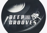 Deep Grooves Sample Pack Multiformat