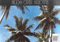 Shoe (300+) One Shot Pack Vol 7 WAV