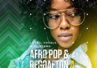 Diginoiz Afro Pop & Reggaeton 4 Sampe Pack