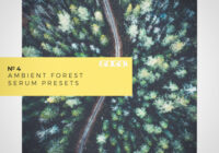 GOGOi Ambient Forest [Serum Presets]