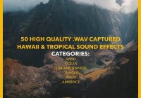 Jakob Owens Productions Tropical Hawaii Sound Effects Pack Vol.1 WAV