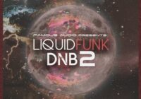 FA116 Liquid Funk DnB Vol 2 Sample Pack WAV