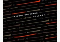 RARE Percussion Melody Rhythmix Vol.5 WAV