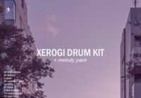 XEROGI Drum Kit (with melody pack) WAV FLP