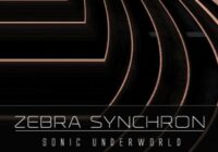 Sonic Underworld Zebra Synchron