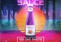 Kryptic Samples American Sauce WAV