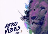 King Loops Afro Vibes Vol.5 Sample Pack