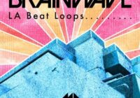 ModeAudio Brainwave - LA Beat Loops Sample Pack