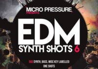 Micro Pressure Presents Synth Shots 6 MULTIFORMAT