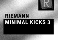 Riemann Kollektion Riemann Minimal Kicks 3 WAV