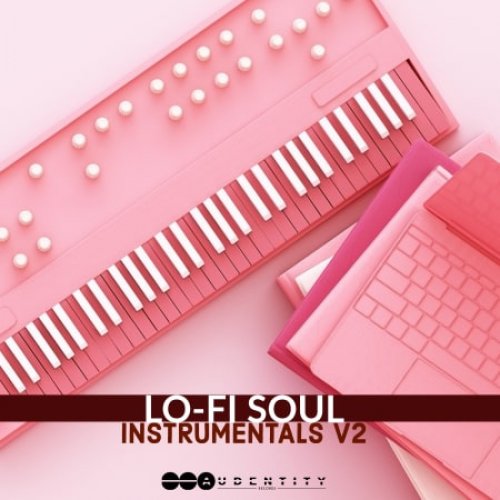 Lofi Soul Instrumentals V2 WAV